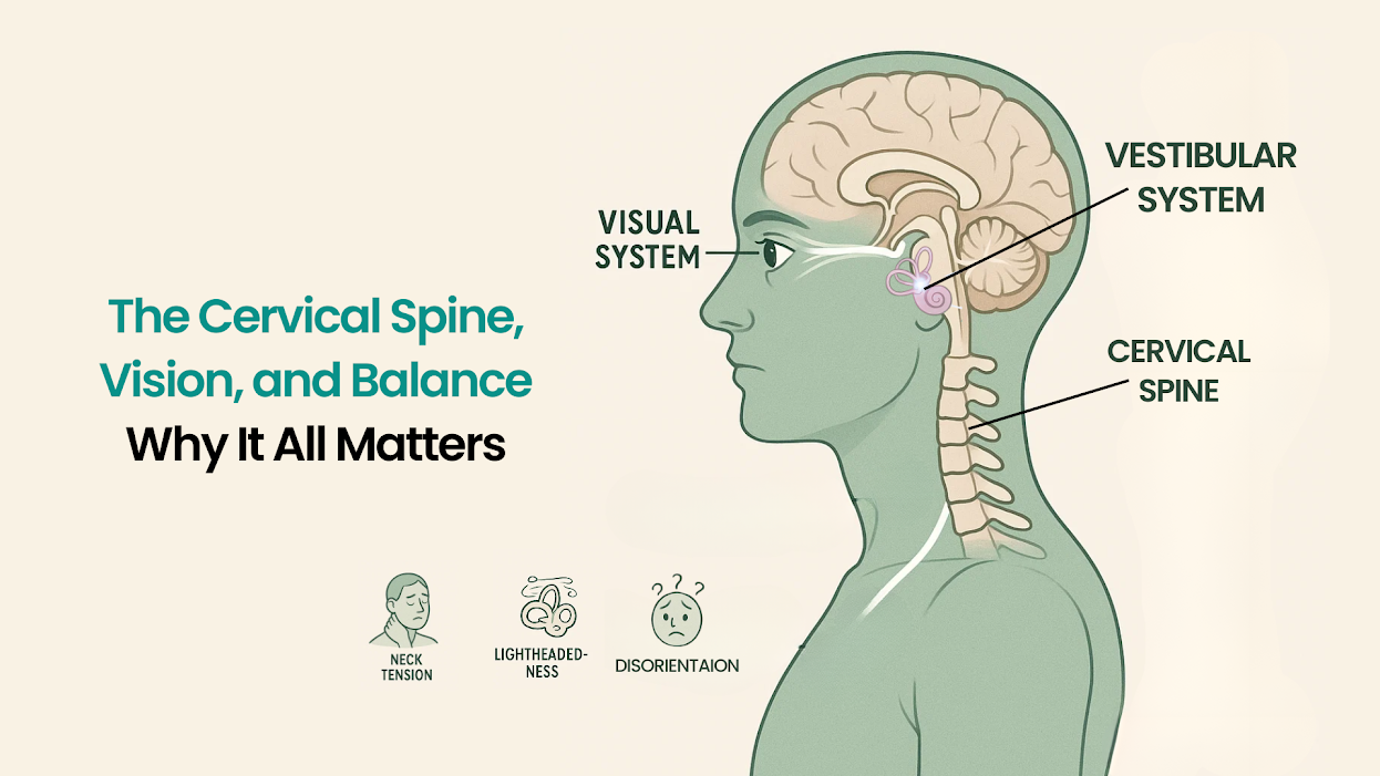 The Cervical Spine, Vision, and Balance: Why It All Matters
